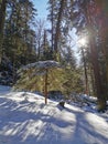 Mountain winter landscape, from Paltinis resort