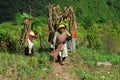 Mountain Women in India