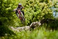 Mountainbiker Bike Forest Downhill