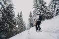 Mountaineer backcountry ski waling two ski alpinist in the mountains. Ski touring in alpine landscape with snowy trees. Adventure