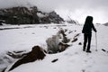 Mountaineer climbing Mount Kazbek and deep glacier crack