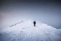 Mountaineer man walking on snowy mountain ridge with blizzard in gloomy weather at Senja island Royalty Free Stock Photo