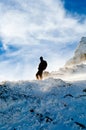 mountaineer silhouette on top of a snowy mountain during a snowstorm