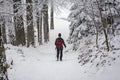 Mountaineer in the snow forest Royalty Free Stock Photo