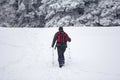 Mountaineer in the snow forest Royalty Free Stock Photo