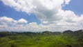 Non-polluted environment Green trees and blue sky Royalty Free Stock Photo