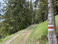 Mountaineering signposts and markings on peaks and slopes of the Pilatus mountain range and in the Emmental Alps, Alpnach