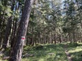 Mountaineering signposts and markings on the slopes of the alpine mountains and in the Albula or Alvra river valley