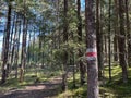 Mountaineering signposts and markings on the slopes of the alpine mountains and in the Albula or Alvra river valley