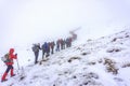 Mountaineers are climbing the Honaz Mount Royalty Free Stock Photo