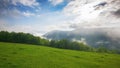 mountainous carpathian countryside landscape with meadow and forest on the hill in spring Royalty Free Stock Photo