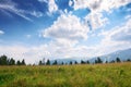 mountainous carpathian countryside scenery in summer