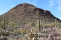 A mountainous desert landscape filled with Saguaro, Cholla and Prickly Pear cacti, Palo Verde trees, Ocotillo, and scrub brush