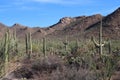 A mountainous desert landscape filled with Saguaro, Cholla and Prickly Pear cacti, Palo Verde trees, Ocotillo, and scrub brush