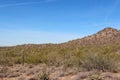 A mountainous, desert landscape in McDowell Sonoran Preserve in Scottsdale, Arizona Royalty Free Stock Photo