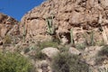 A mountainous, desert landscape with Prickly Pear Cactus, Saguaro Cacti and scrub brush in Superior, Arizona