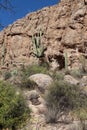 A mountainous, desert landscape with Saguaro, Prickly Pear and scrub brush in Superior, Arizona