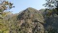 Mountainous Forests in India