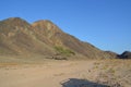 Mountainous hills of Eastern Desert, Egypt. A spreading tree in the background and a shadow of a car in the foreground.