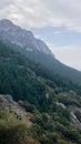 Mountainous landscape formed of limestone with magnificent view, fir forest in Pinsapar De Grazalema