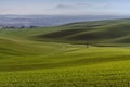 Mountainous landscape of green grass during spring Royalty Free Stock Photo