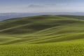 Mountainous landscape of green grass during spring Royalty Free Stock Photo