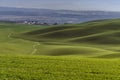 Mountainous landscape of green grass during spring Royalty Free Stock Photo