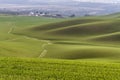 Mountainous landscape of green grass during spring Royalty Free Stock Photo