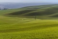 Mountainous landscape of green grass during spring Royalty Free Stock Photo