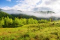 mountainous landscape with green meadow on a foggy morning Royalty Free Stock Photo