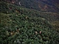 Landscape with magnificent view, dense fir forest in Pinsapar De Grazalema nature reserve, Spain
