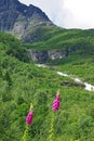 Mountainous landscape of northern Norway Royalty Free Stock Photo