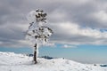 Winter mountain landscape. Snow and ice at high altitude - Ciucas Mountains, landmark attraction in Romania Royalty Free Stock Photo