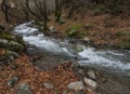 Mountainous rapid river with clear water in the forest in the mountains Dirfis on the island of Evia, Greece