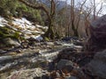 Mountainous rapid river with clear water in the forest in the mountains Dirfis on the island of Evia, Greece Royalty Free Stock Photo
