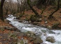 Mountainous rapid river with clear water in the forest in the mountains Dirfys on the island of Evia, Greece