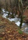 Mountainous rapid river with clear water in the forest in the mountains Dirfys on the island of Evia, Greece