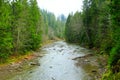 Mountainous river in the forest of Carpathian mountains Royalty Free Stock Photo