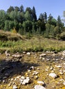 Shallow riverbed with a rocky bottom , unhurried flow of water, autumn walks in nature