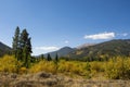 Mountains Aspen Forest Pine Trees Blue Sky Royalty Free Stock Photo