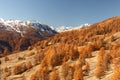 Mountains in Autumn Alps Piemonte Val di Susa Valle Argentera Royalty Free Stock Photo