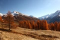 Mountains in Autumn Alps Piemonte Val di Susa Valle Argentera Royalty Free Stock Photo