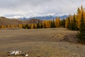 Mountains autumn forest snow Royalty Free Stock Photo