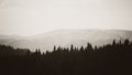 Mountains black and white panoramic view Royalty Free Stock Photo