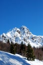 Mountains blue ski and trees Royalty Free Stock Photo