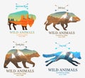 Mountains and boar, bear, fox, buffalo silhouette wild animal. Multiple or double exposure. Old label or badge. Journey Royalty Free Stock Photo