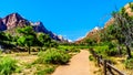 Mountains at the Pa`rus Trail which follows along and over the meandering Virgin River in Zion National Park in Utah Royalty Free Stock Photo