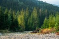 Mountains Canada nature landscape Royalty Free Stock Photo