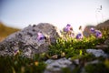 Mountains of the Caucasus range Arkhyz, Sofia lake, climbing mountains, Hiking and Hiking. Fabulous mountains of the Caucasus in