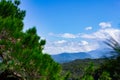 Mountains with Christmas trees against the blue sky with clouds. Beautiful panoramic view of firs and larches coniferous forest Royalty Free Stock Photo